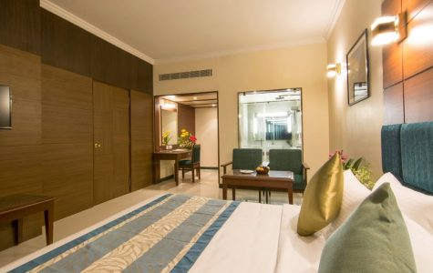 indina historical hospitality-shen baga pondicherry-3