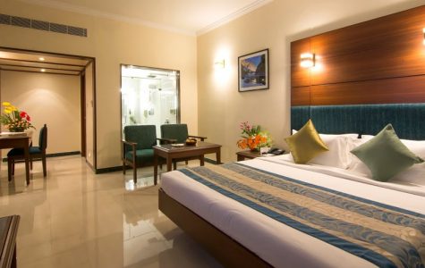 indina historical hospitality-shen baga pondicherry-4