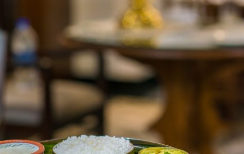 indina historical hospitality-swatma, tanjore-105