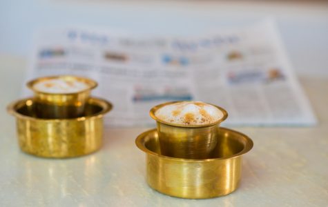 indina historical hospitality-swatma, tanjore-4