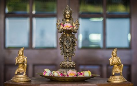 indina historical hospitality-swatma, tanjore-6