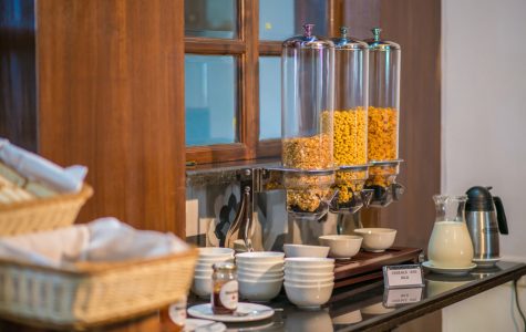 indina historical hospitality-swatma, tanjore-7