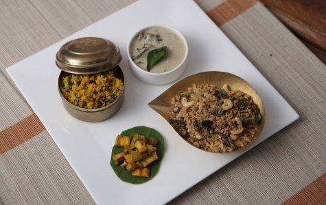 indina historical hospitality-swatma, tanjore-76