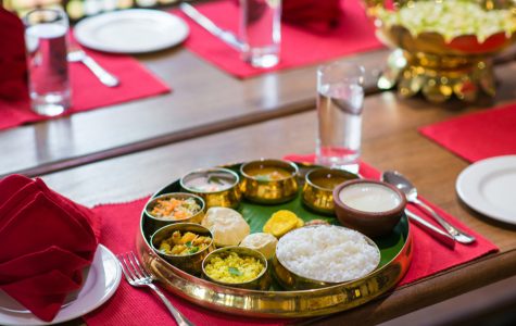 indina historical hospitality-swatma, tanjore-8