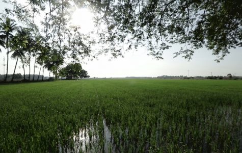 indina historical hospitality-swatma, tanjore-87